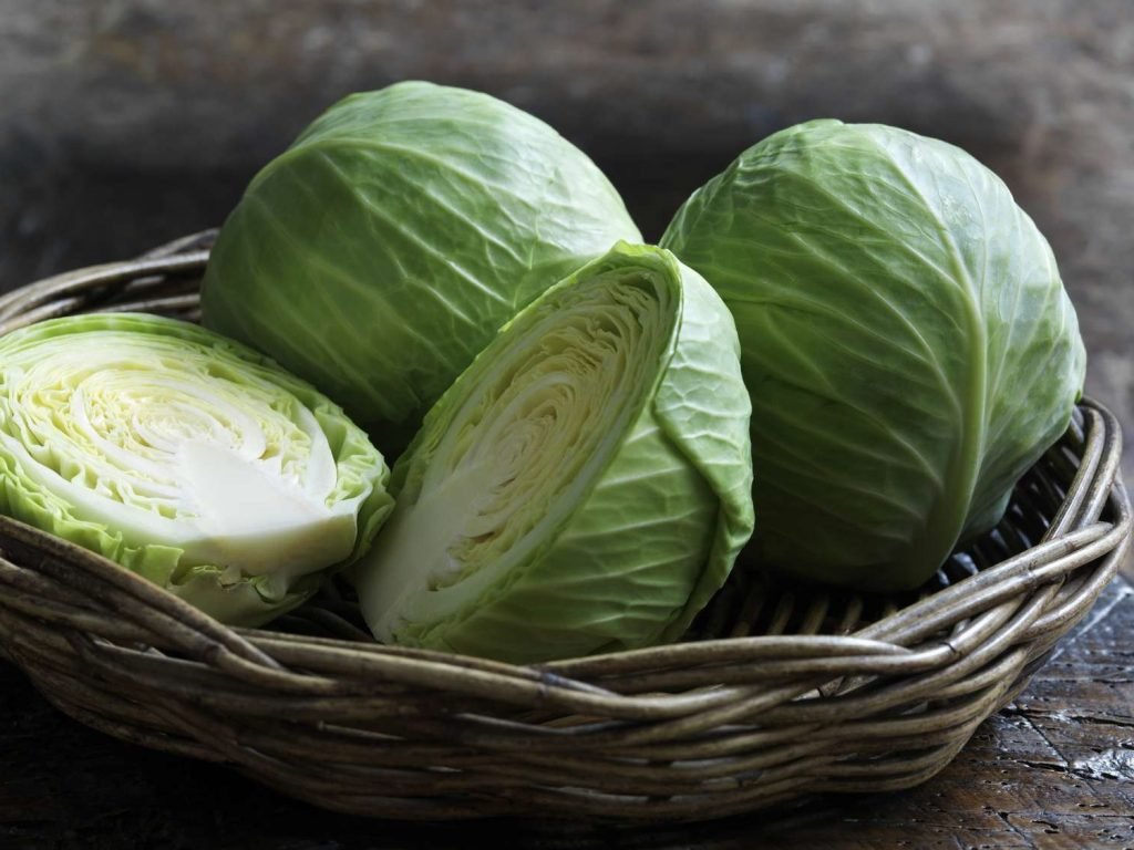 Cabbage Cabbage