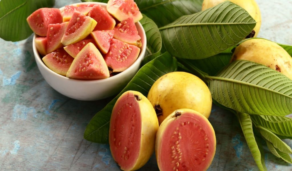 Summer Tropical Fruit Guava